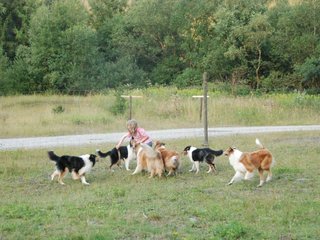 2009-08-15_ntb_5146