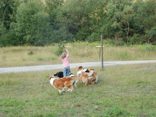 2009-08-15_ntb_5147
