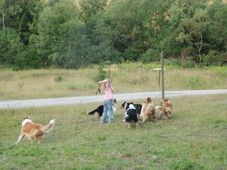 2009-08-15_ntb_5148