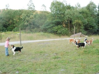2009-08-15_ntb_5149