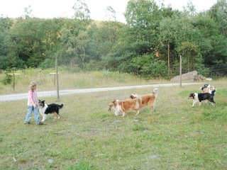2009-08-15_ntb_5150