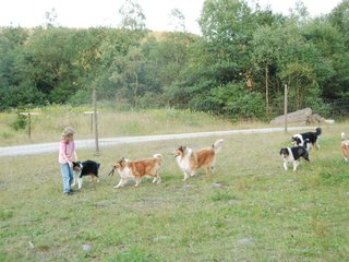 2009-08-15_ntb_5151
