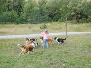 2009-08-15_ntb_5154
