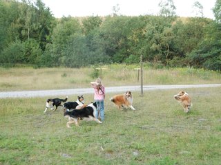 2009-08-15_ntb_5156