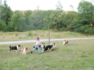 2009-08-15_ntb_5157