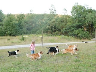 2009-08-15_ntb_5158