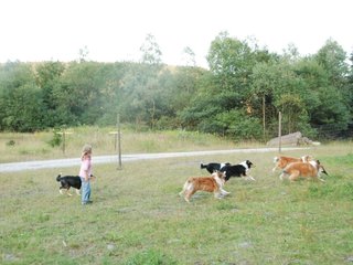 2009-08-15_ntb_5159
