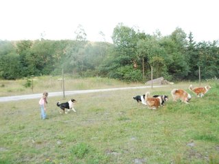 2009-08-15_ntb_5160