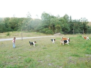 2009-08-15_ntb_5161