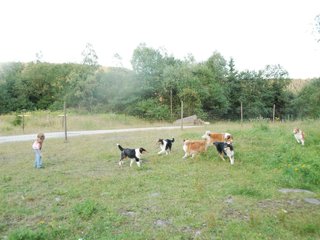 2009-08-15_ntb_5162