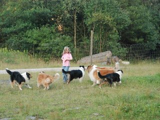2009-08-15_ntb_5163