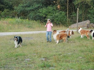 2009-08-15_ntb_5164