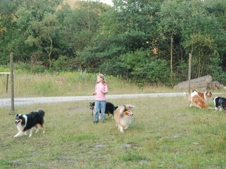 2009-08-15_ntb_5165