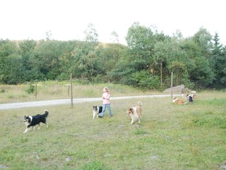 2009-08-15_ntb_5166