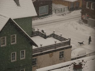 DSC_7817