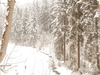 DSC_7838