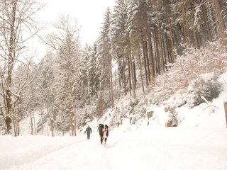 DSC_7853