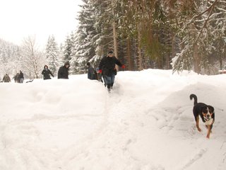 DSC_8012