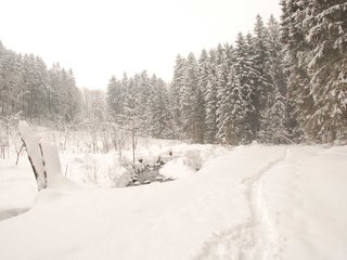 DSC_8024