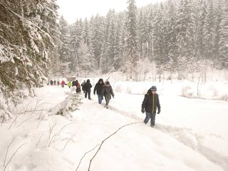 DSC_8029