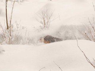 DSC_8041