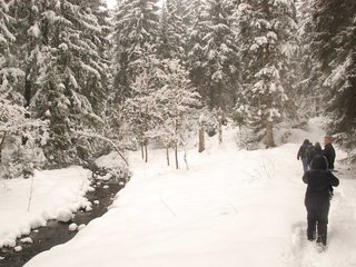 DSC_8073