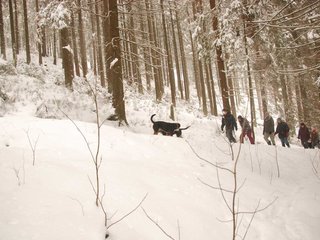 DSC_8086