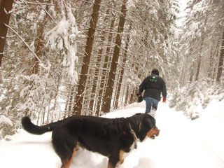 DSC_8108