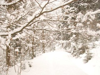 DSC_8149