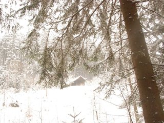 DSC_8170