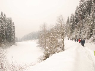 DSC_8229