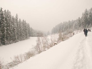 DSC_8234