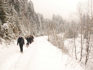 DSC_8235