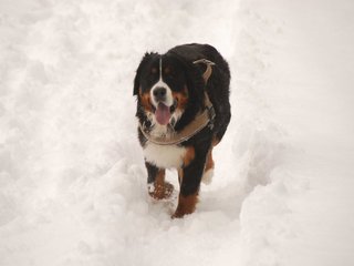 DSC_8265