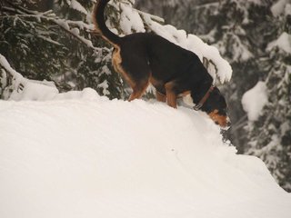 DSC_8275