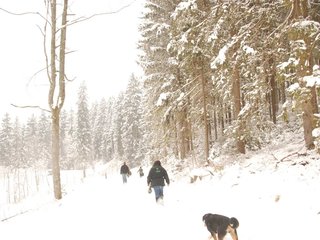DSC_8285