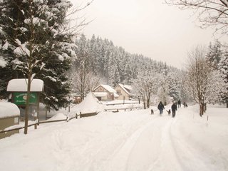 DSC_8291