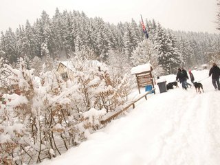 DSC_8292