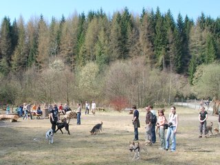 DSC_7623.jpg