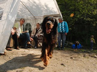 2010-05-29_ntb_9774