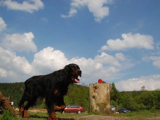 2010-05-29_ntb_9775