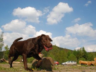 2010-05-29_ntb_9778