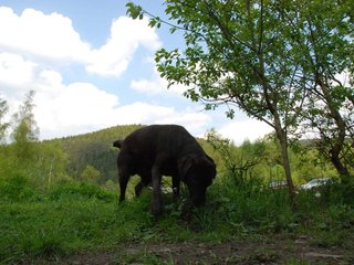 2010-05-29_ntb_9782