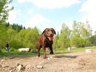 2010-05-29_ntb_9783