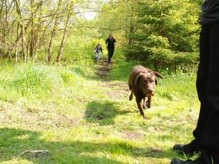 2010-05-29_ntb_9784