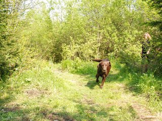 2010-05-29_ntb_9785