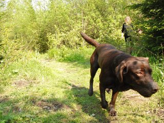 2010-05-29_ntb_9786