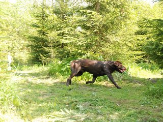 2010-05-29_ntb_9787