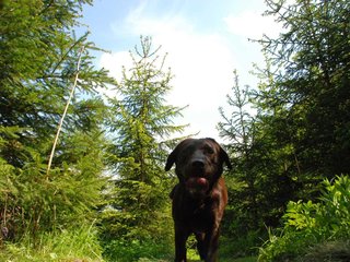 2010-05-29_ntb_9788