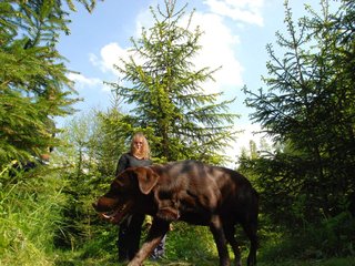 2010-05-29_ntb_9789